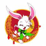 licheng stenter Profile Picture