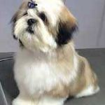Crangeng Profile Picture