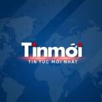 tinmoi Profile Picture