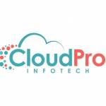 CloudPro Infotech profile picture