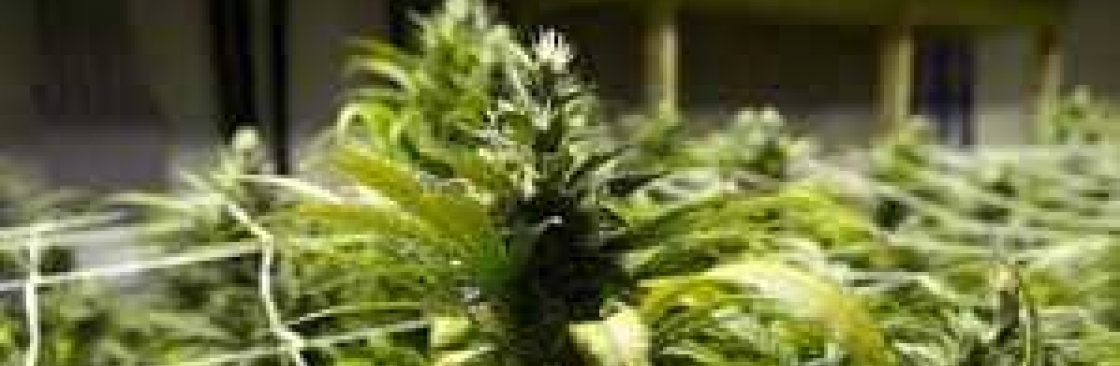 Bud Drop Dispensary Cover Image