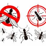 Pest Control Profile Picture
