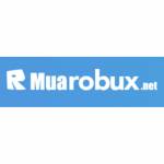 Nạp Robux mua Robux Giá Rẻ Uy Tín Profile Picture
