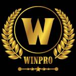 winproaudio Profile Picture