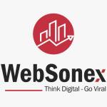 WebSonex Digital Marketing Agency Profile Picture