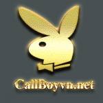Callboy VN profile picture