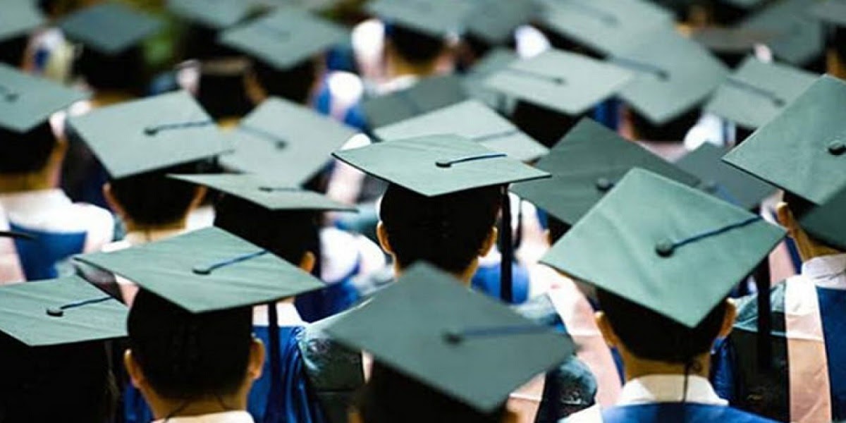 How to Survive Your 1st Year in University Life?         |          Dissertation Capital