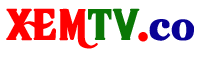 SCTV22 HD Trực Tuyến | Kênh SCTV22 Online | Xem SCTV22 Trực tiếp TV