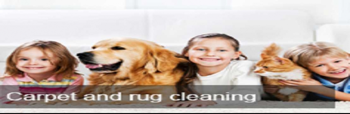 Ezydry Carpet Cleaning Cover Image