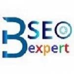 bangaloreseoexpert Profile Picture