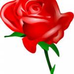 Khanbhai Husain profile picture