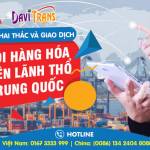 dinh hoang long Profile Picture