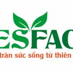 Nesfaco VN Profile Picture