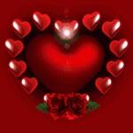 سامى  سامح حياه بلا معنه معنى Profile Picture