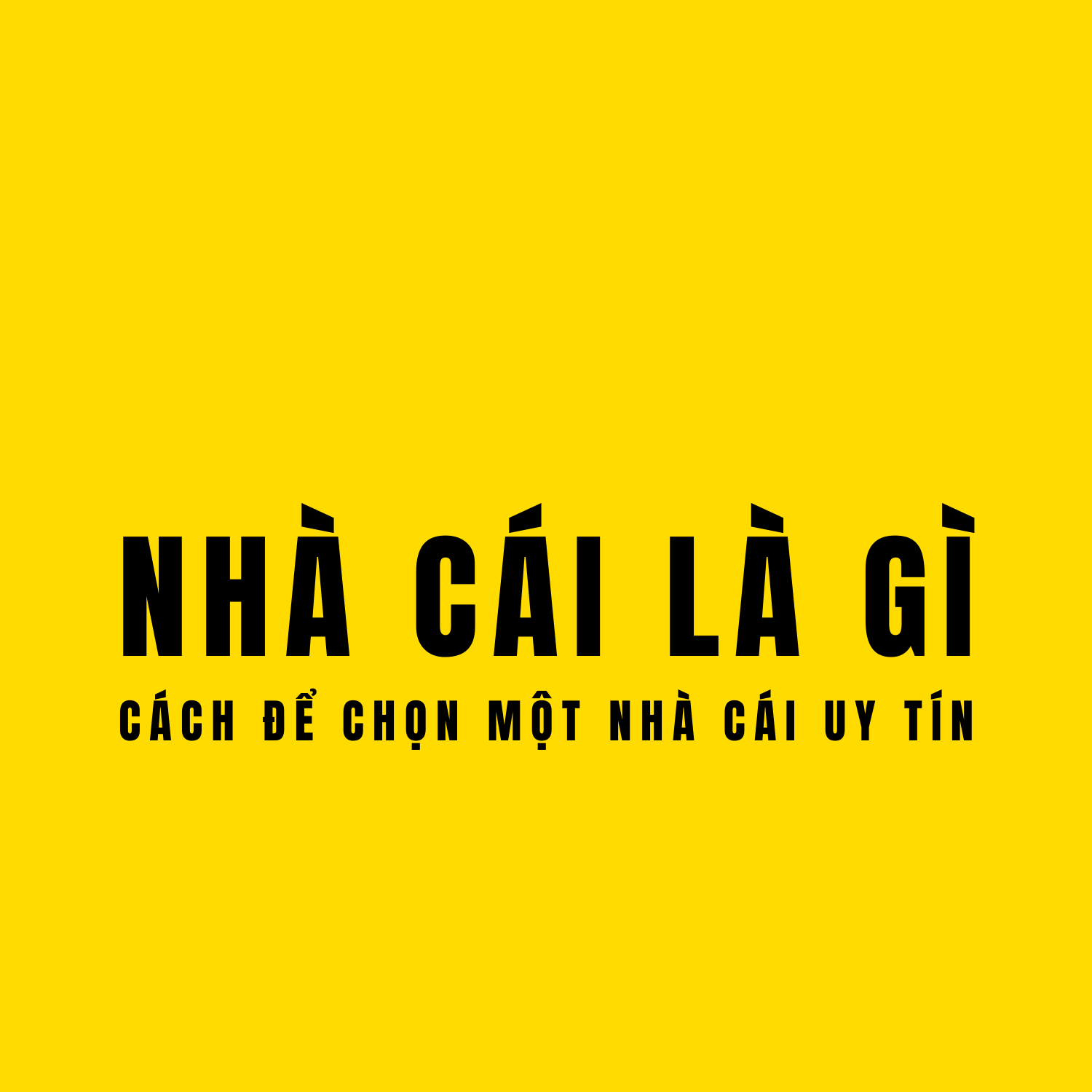 Nhà cái là gì? Cách để nhận biết một nhà cái uy tín - Mai Đánh Giá