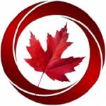 Novus Immigration Dubai Profile Picture
