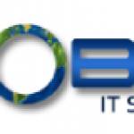 Global IT Solutions USA Profile Picture