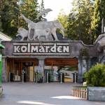 Kolmården Zoo (Sverige) Profile Picture