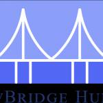 vBridge Hub Profile Picture