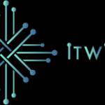 it wings Profile Picture