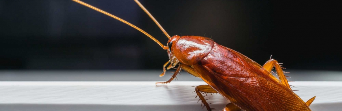 O'Hara Pest Control Inc Cover Image