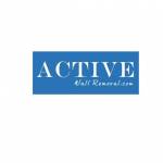 Active Wall Removal Profile Picture