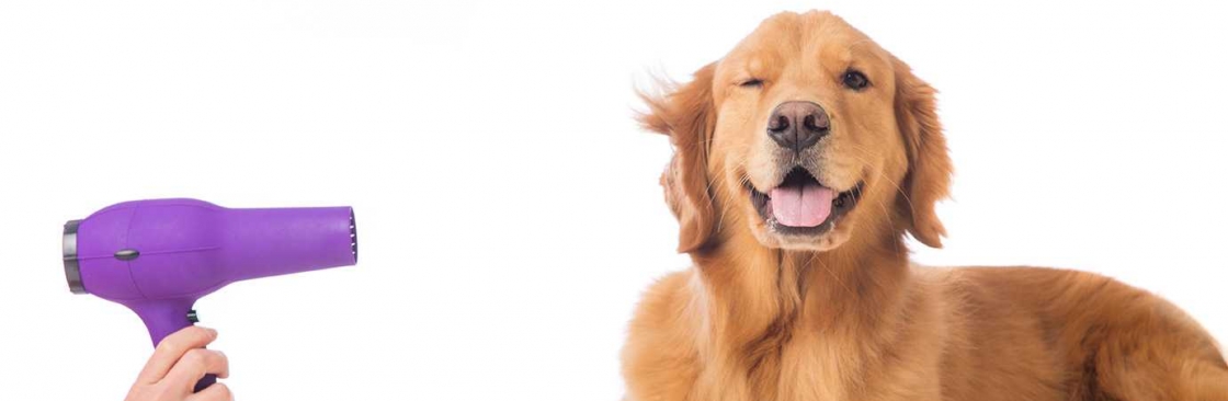 Healthy Pets Veterinary Care Cover Image