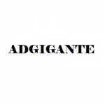 adslither Profile Picture