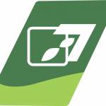 Transformations Landscaping profile picture