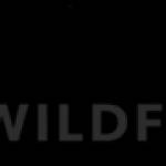 prettywild flowers Profile Picture