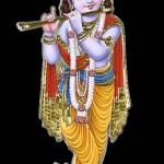 Vasudeva Dikshith Profile Picture