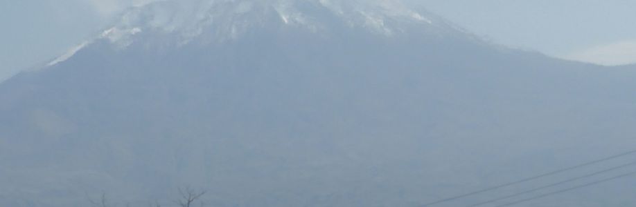 Tafadzwa Masaire Cover Image