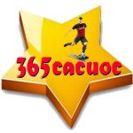 nha cai 365cacuoc Profile Picture
