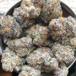 BUD MALL Profile Picture