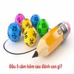 dau5cam thantaiplus Profile Picture