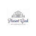 Pleasant Creek Mini Bernedoodles Profile Picture