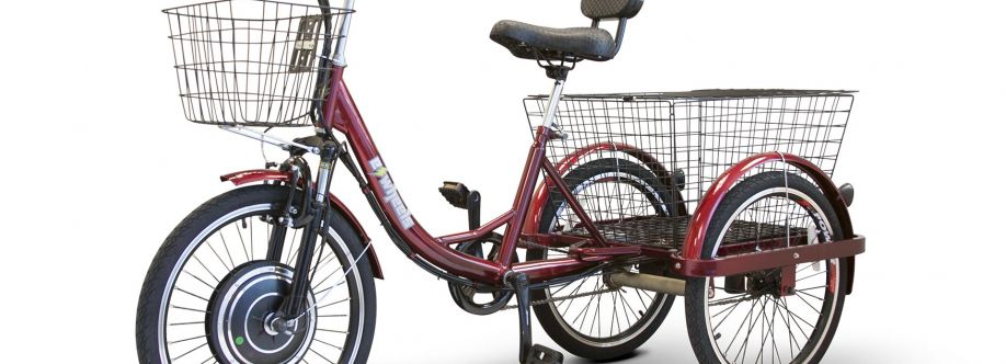 Electri Ride Cover Image