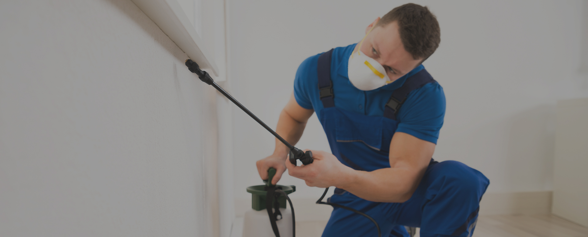 Ant and Cricket Exterminator in freeport, Roaches Removal In Freeport