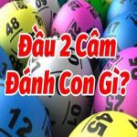 dau2camthantaiplus Profile Picture