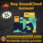 Buy SoundCloud Accounts Profile Picture