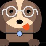 EveryDog Socal Profile Picture