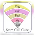 Stemcell cure profile picture
