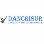Dancrisur servicios de limpieza Profile Picture
