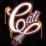 Buy Calibudornobud Profile Picture