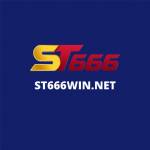 st666win net Profile Picture