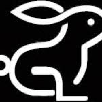 Hire Escort Profile Picture
