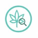 Dank vaps carts Profile Picture