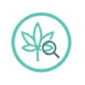 Dank vaps carts Profile Picture