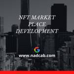 nft  marketplace development company Profile Picture