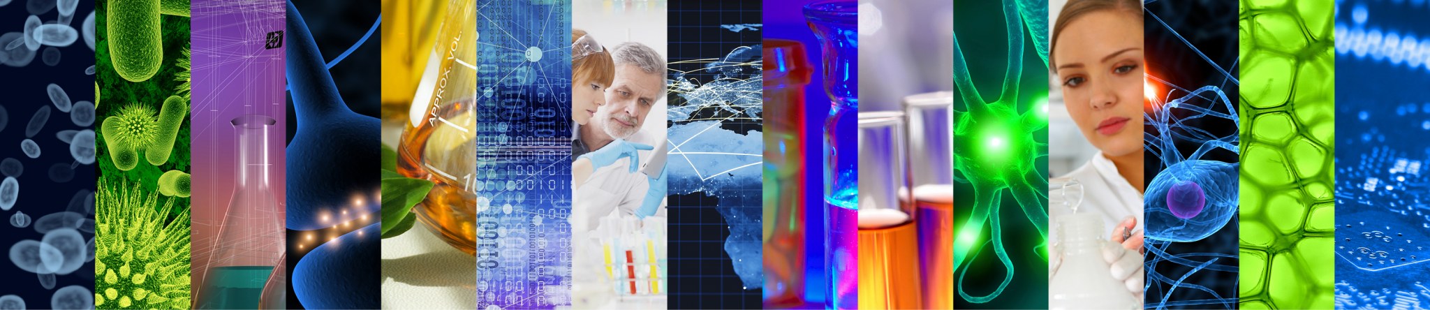 Profile – https://www.mindmingles.com/seo-company-india/ – Swiss Biotech